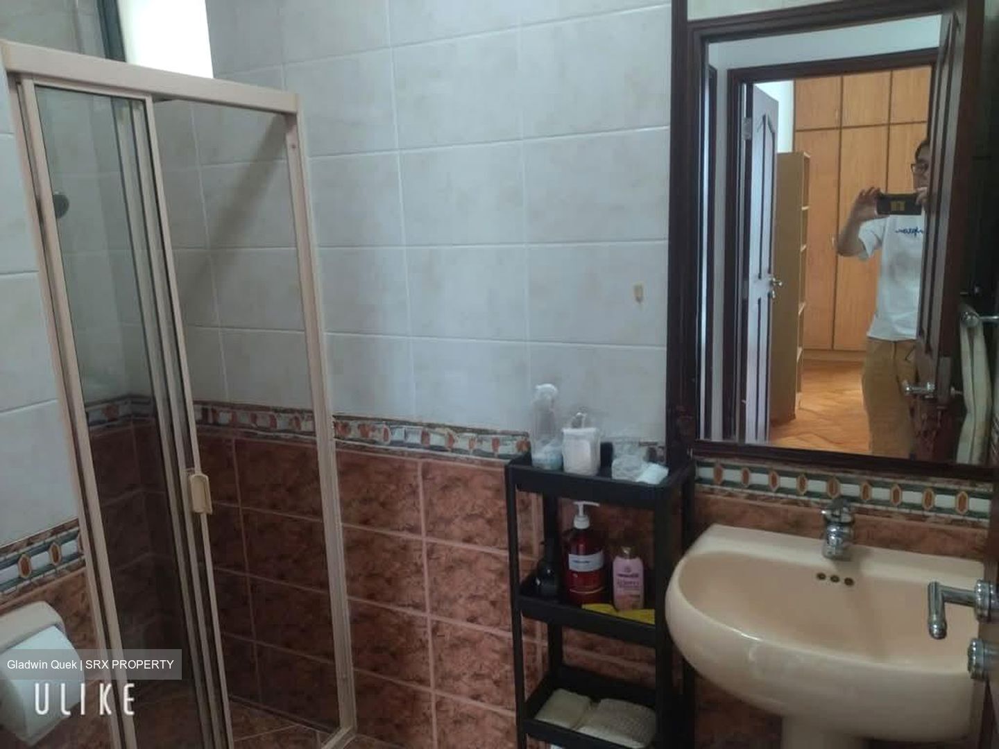 Tanglin Regency (D10), Condominium #605903581